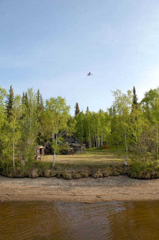 Clearing for New Construction