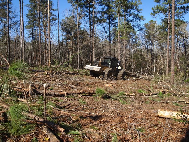 Professional Land Clearing Team