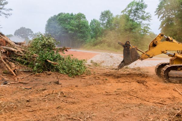 Cost of Ground Clearing in Dawsonville