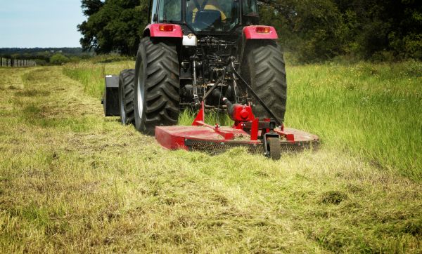 Cost of Brush Clearing Service in Dawsonville