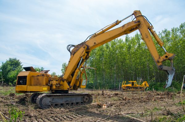 Cost of Farm Clearing in Dawsonville