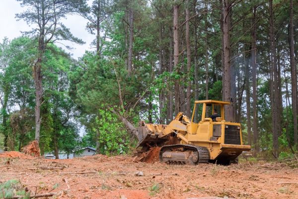 Cost of Property Clearing in Dawsonville
