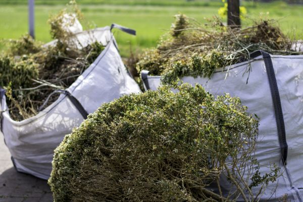 Cost of Bushes Clearing in Dawsonville