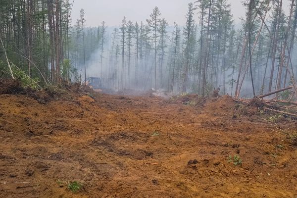 Cost of Hill Clearing in Dawsonville