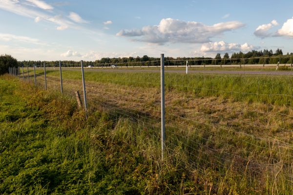 Cost of Property Line Clearing in Dawsonville
