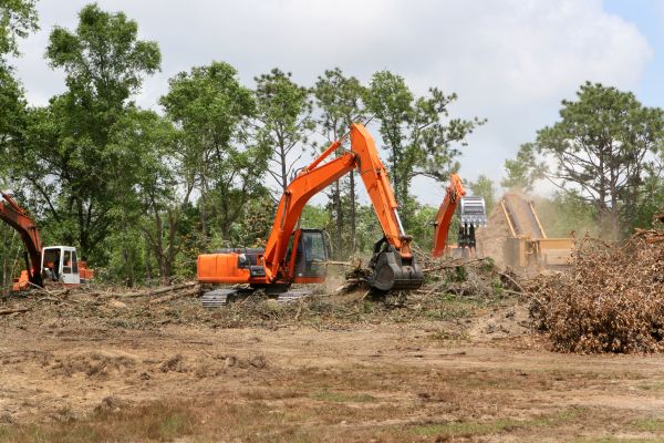 Cost of Commercial Lot Clearing in Dawsonville
