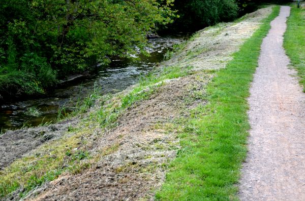 Cost of Trail Cutting in Dawsonville